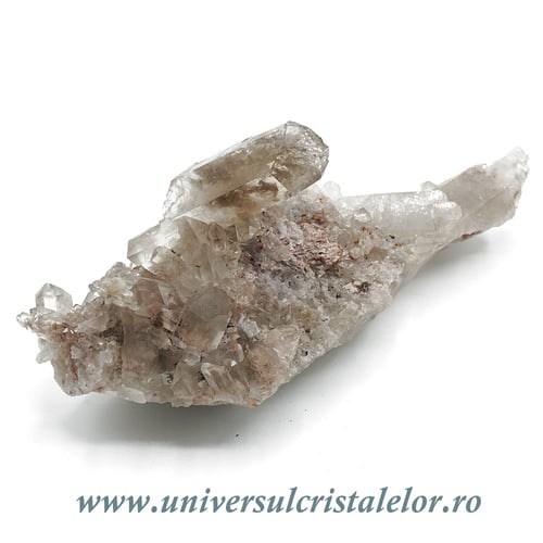 Cuart fumuriu cluster