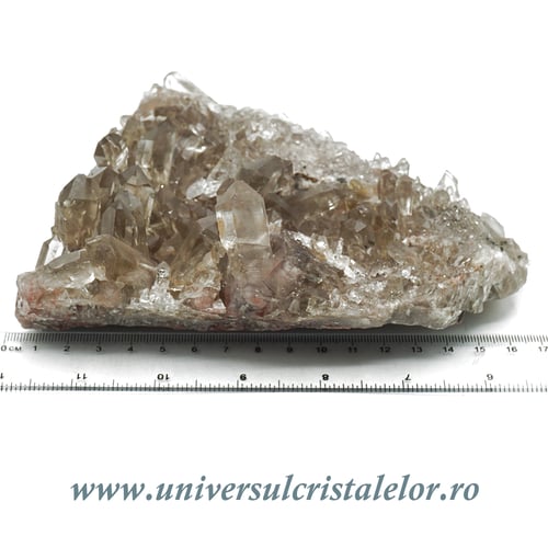 Cuart fumuriu cluster