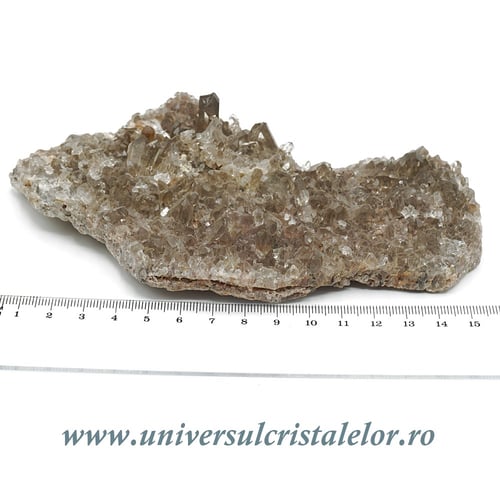 Cuart fumuriu cluster