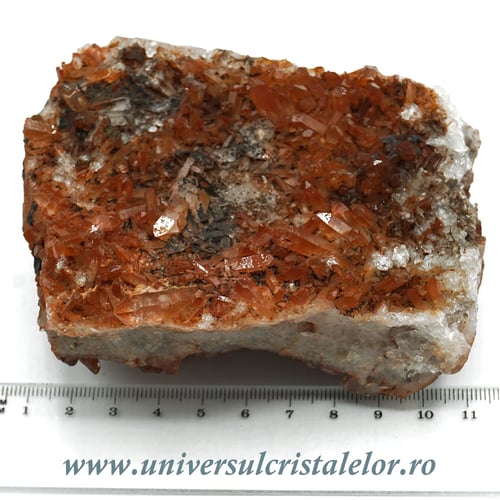 Cuart tangerin cluster