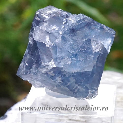 Fluorina albastra mineral unicat m1