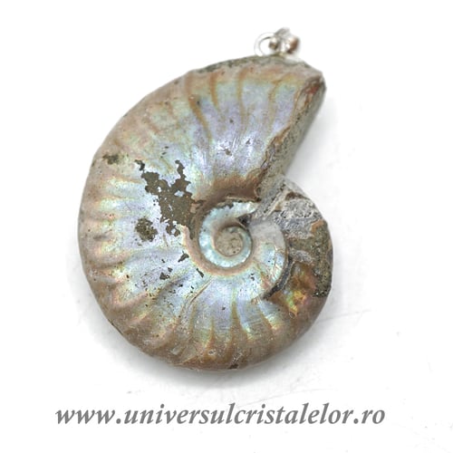 Pandantiv amonit cleoniceras