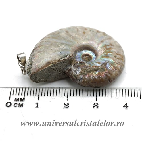 Pandantiv amonit cleoniceras