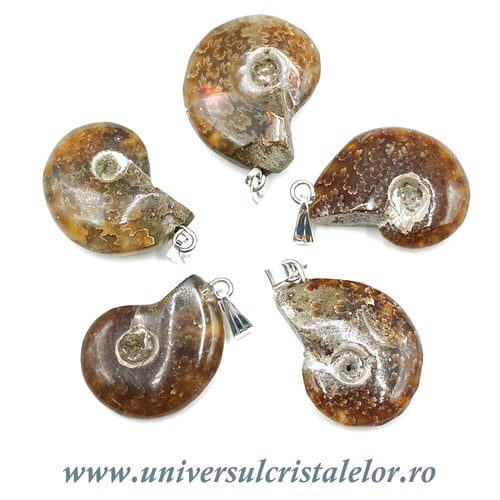 Pandantiv amonit cleoniceras