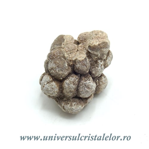 Coprolit de dinozaur