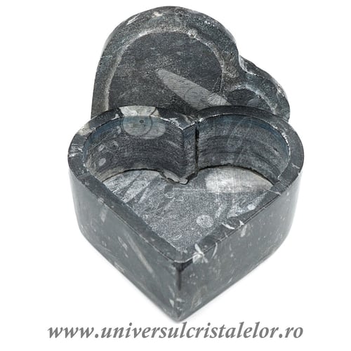 Caseta bijuterii orthoceras