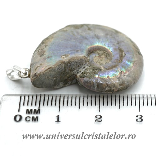 Pandantiv amonit cleoniceras