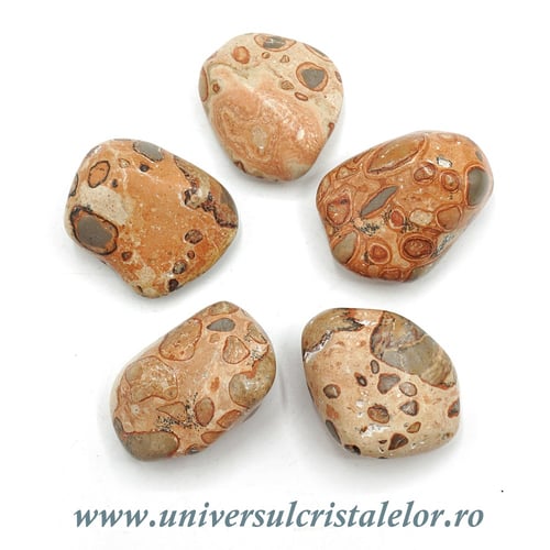 Jasp leopard piatra rulata