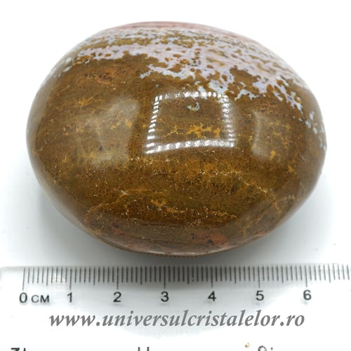 Jasp oceanic polisat