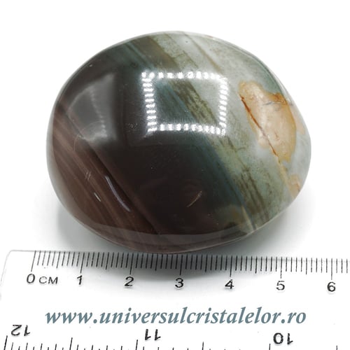 Jasp policrom polisat