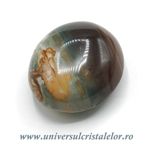 Jasp policrom polisat