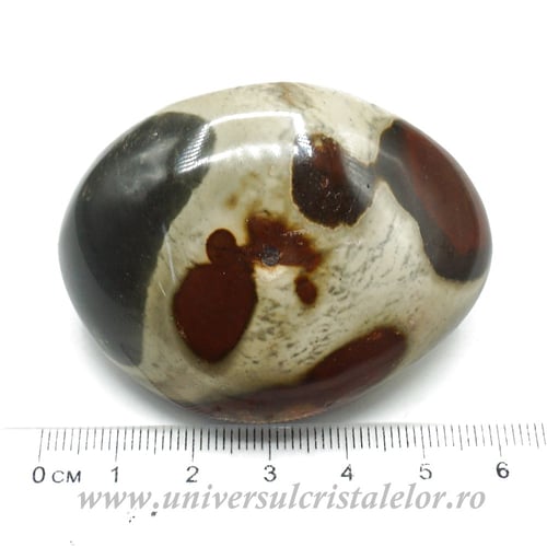 Jasp policrom polisat