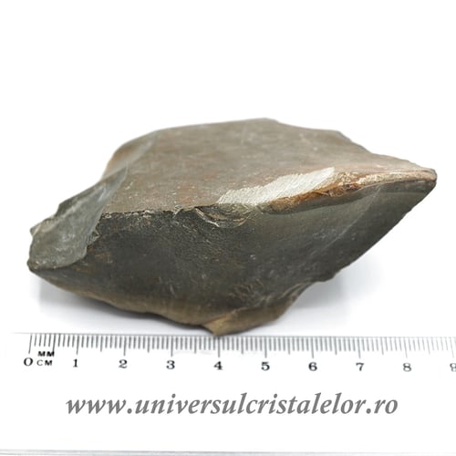 Jasp policrom polisat m4