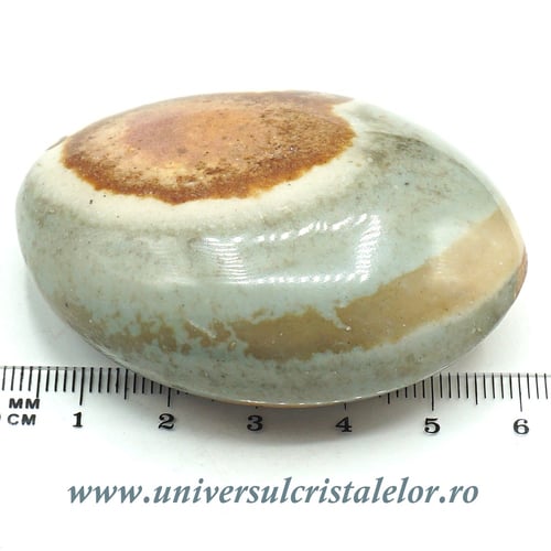 Jasp policrom polisat