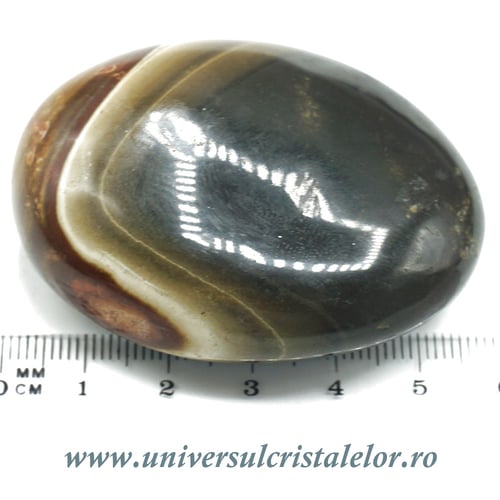 Jasp policrom polisat