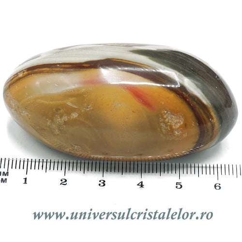 Jasp policrom polisat