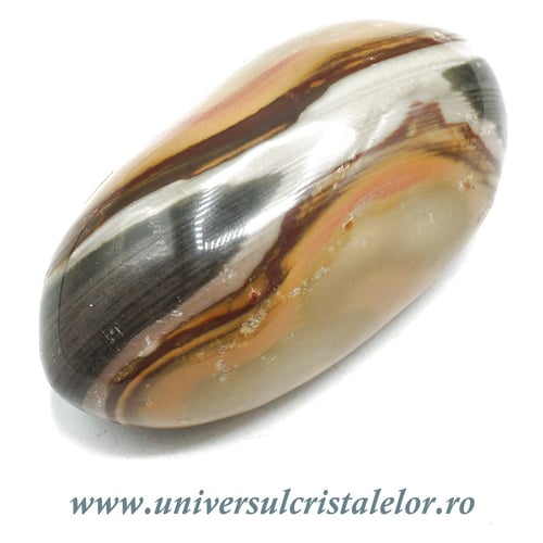 Jasp policrom polisat