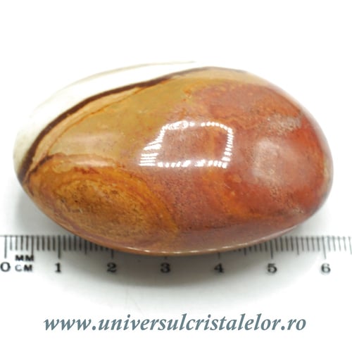 Jasp policrom polisat