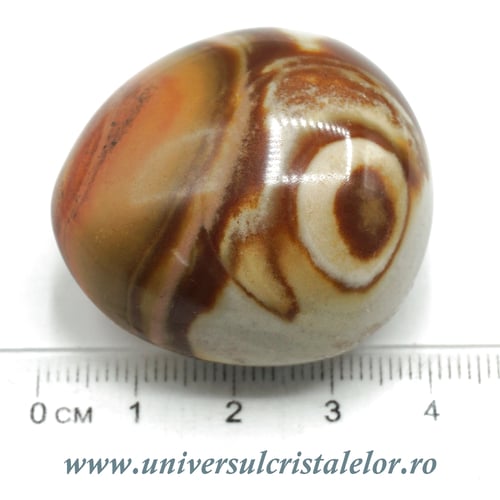 Jasp policrom polisat