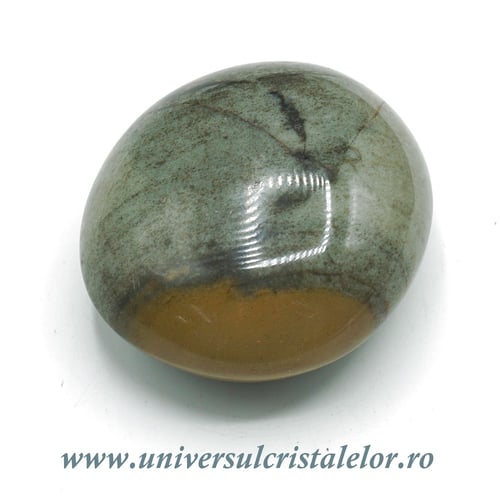 Jasp policrom polisat