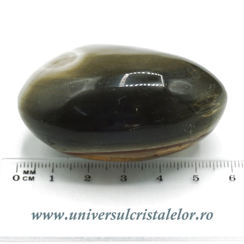 Jasp policrom polisat