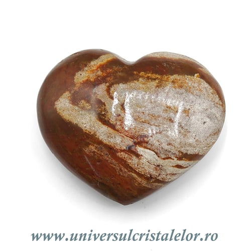 Inima lemn pietrificat