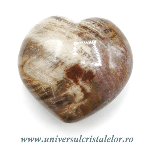 Inima lemn pietrificat