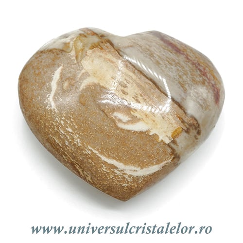 Inima lemn pietrificat