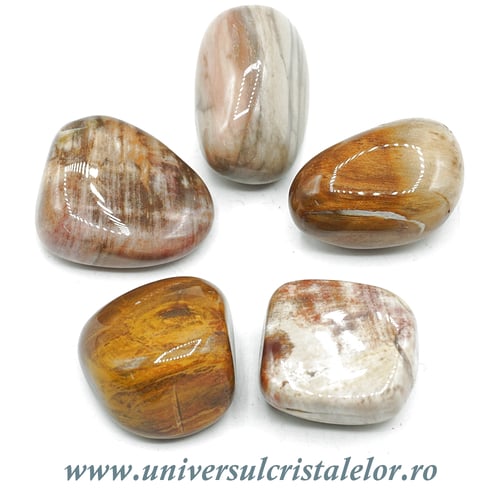 Lemn pietrificat piatra rulata