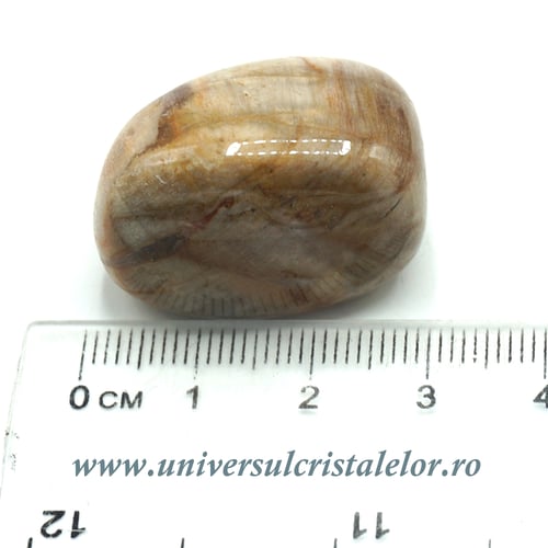 Lemn pietrificat piatra rulata