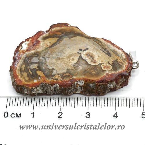 Pandantiv lemn pietrificat