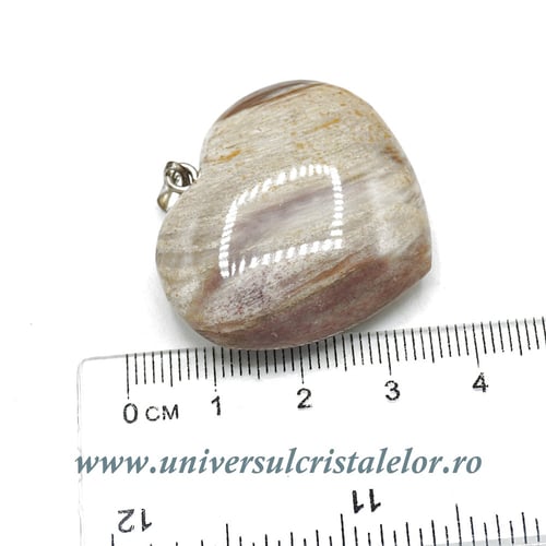 Pandantiv lemn pietrificat