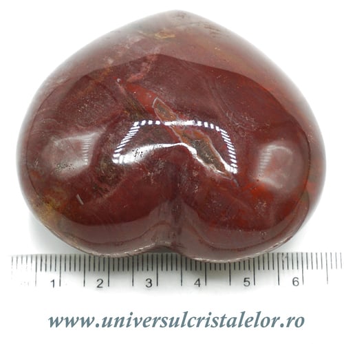 Inima lemn pietrificat