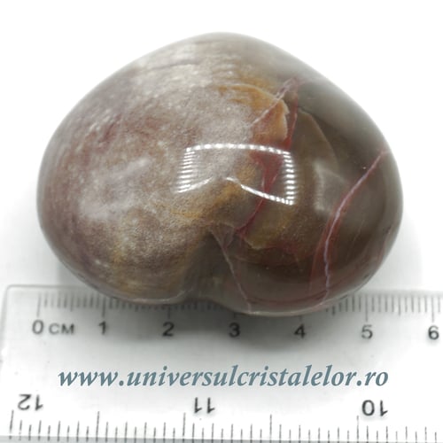 Inima lemn pietrificat