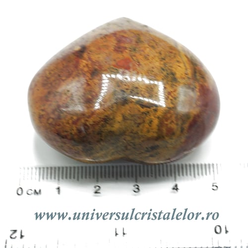 Inima lemn pietrificat