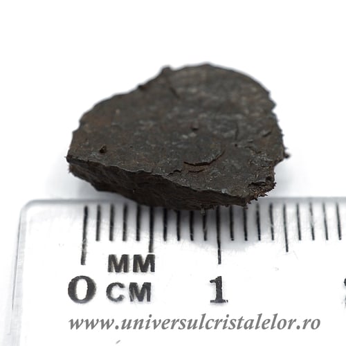 Meteorit Canyon Diablo