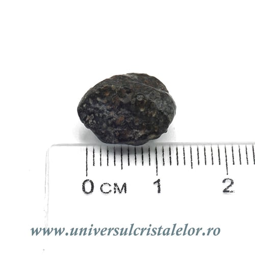 Meteorit Condrit carbonic unicat m01