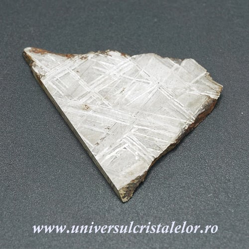 Meteorit Muonionalusta felie unicat m04