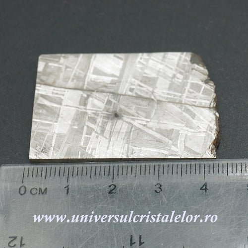 Meteorit Muonionalusta felie unicat m05