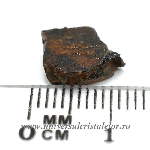 Meteorit Sericho Pallasite unicat m03