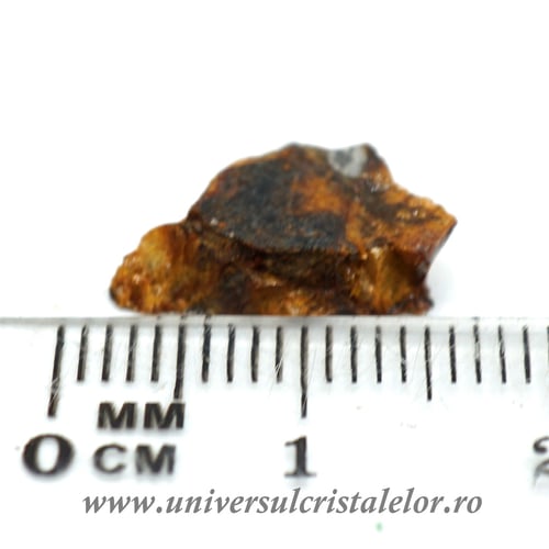 Meteorit Sericho Pallasite
