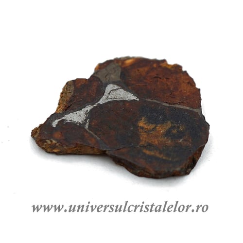 Meteorit Sericho Pallasite