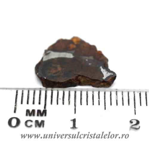 Meteorit Sericho Pallasite
