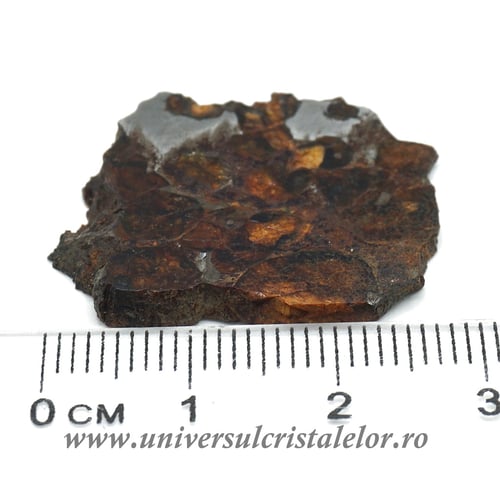 Meteorit Sericho Pallasite felie unicat m01