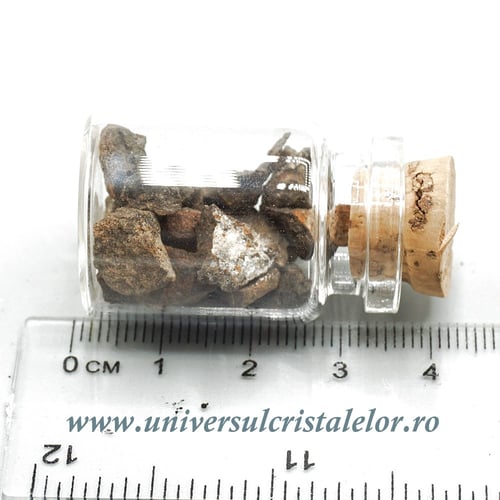 Sticluta Meteorit Condrit