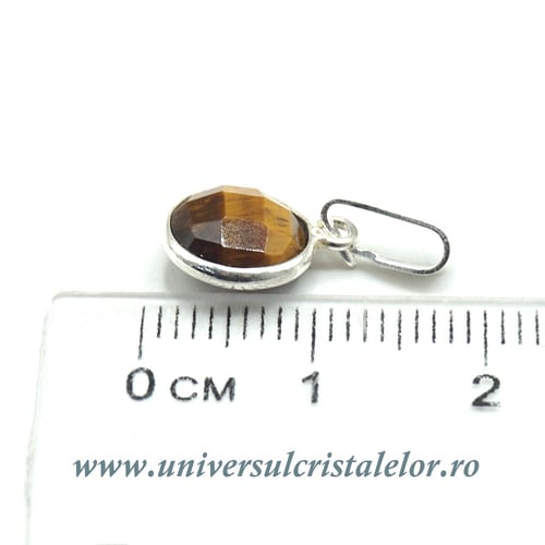 Pandantiv ochi de tigru rotund fatetat - 9mm