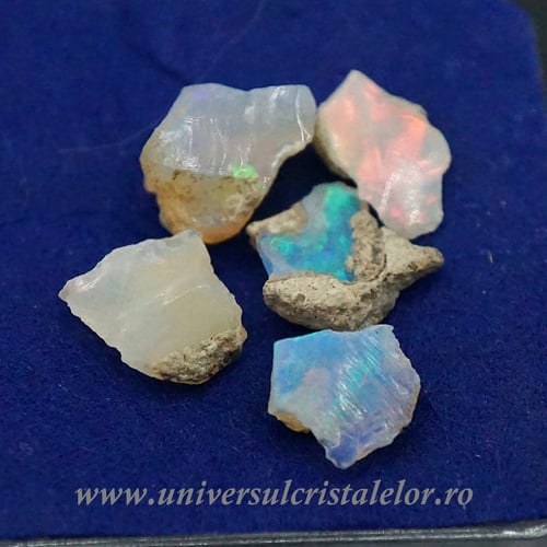 Opal nobil Etiopia cutie m04