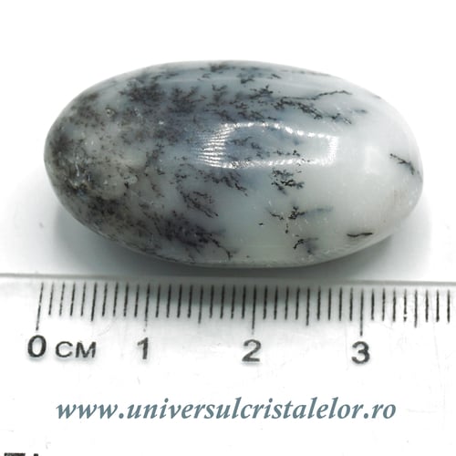 Opal dendritic polisat m01