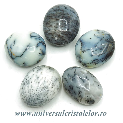 Opal dendritic polisat m01
