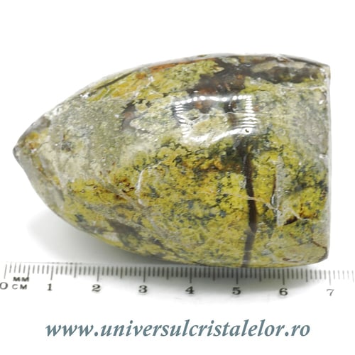 Sculptura opal fistic
